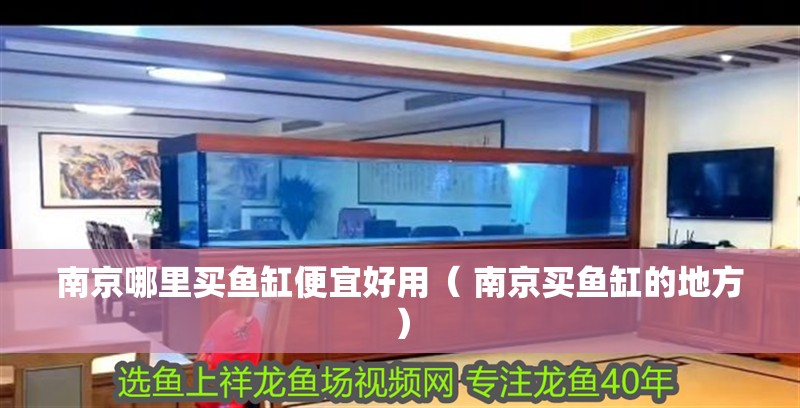 南京哪里買魚缸便宜好用（ 南京買魚缸的地方）