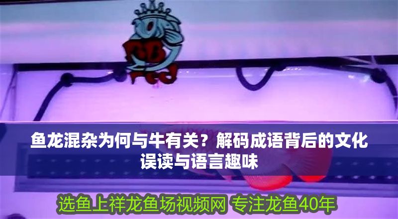 魚龍混雜為何與牛有關？解碼成語背后的文化誤讀與語言趣味