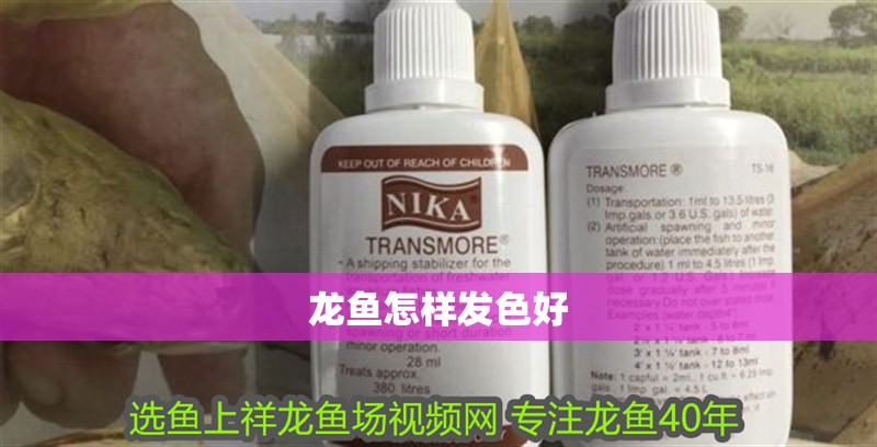 龍魚怎樣發色好