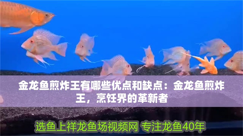 金龍魚煎炸王有哪些優(yōu)點和缺點：金龍魚煎炸王，烹飪界的革新者