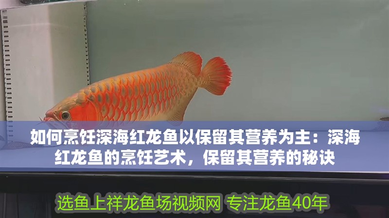 如何烹飪深海紅龍魚以保留其營養為主：深海紅龍魚的烹飪藝術，保留其營養的秘訣