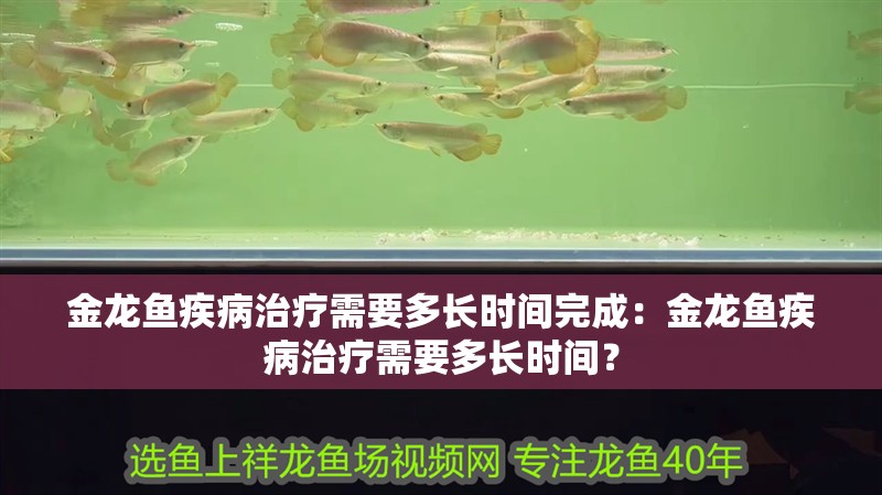 金龍魚疾病治療需要多長時間完成：金龍魚疾病治療需要多長時間？