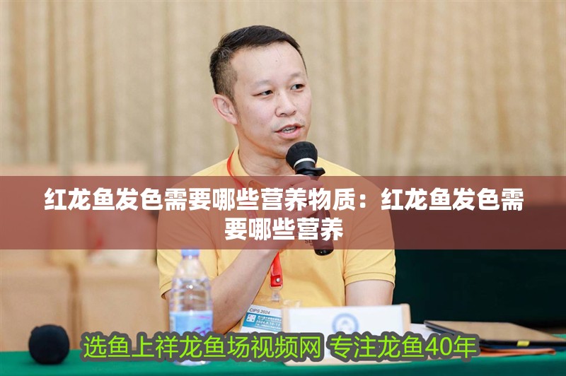 紅龍魚發(fā)色需要哪些營養(yǎng)物質(zhì)：紅龍魚發(fā)色需要哪些營養(yǎng)