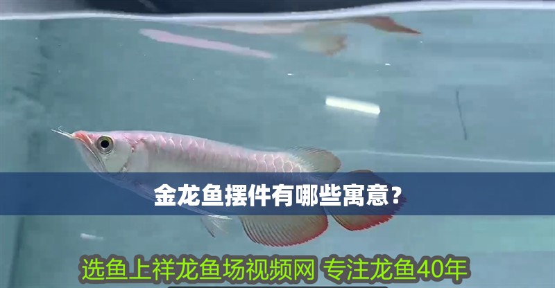 金龍魚擺件有哪些寓意？