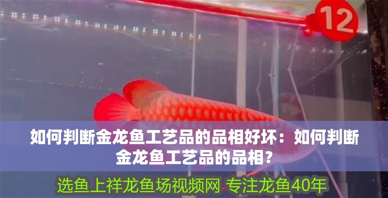 如何判斷金龍魚工藝品的品相好壞：如何判斷金龍魚工藝品的品相？