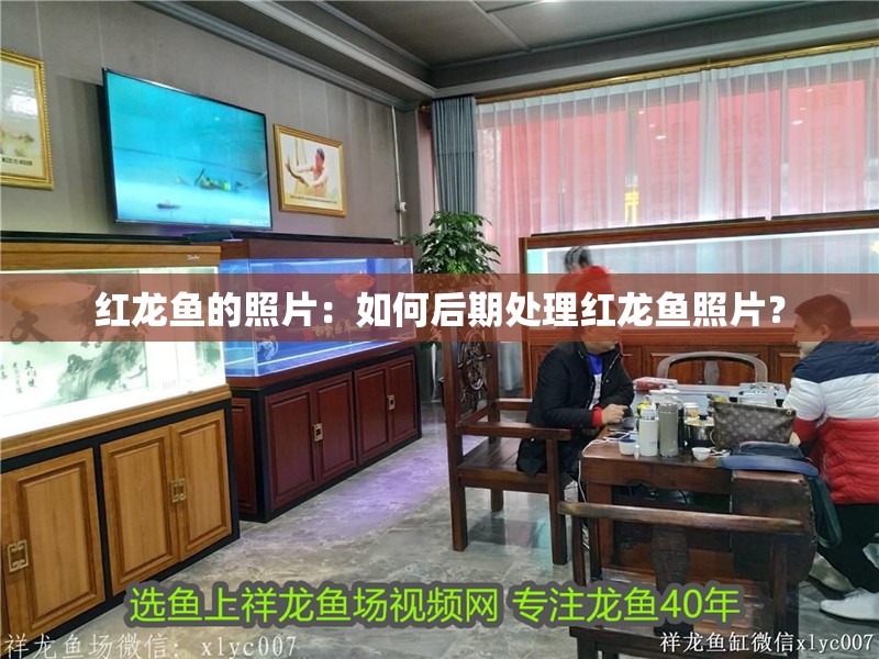紅龍魚的照片：如何后期處理紅龍魚照片？
