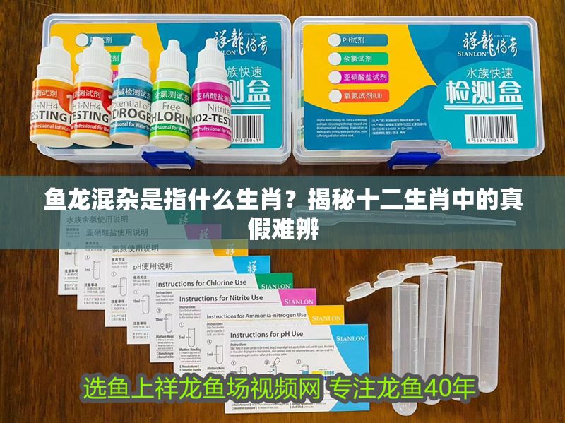 魚龍混雜是指什么生肖？揭秘十二生肖中的真假難辨