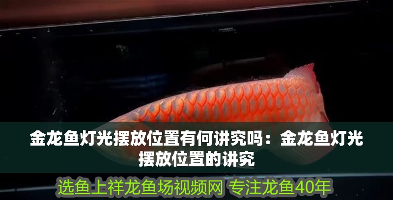 金龍魚燈光擺放位置有何講究嗎：金龍魚燈光擺放位置的講究