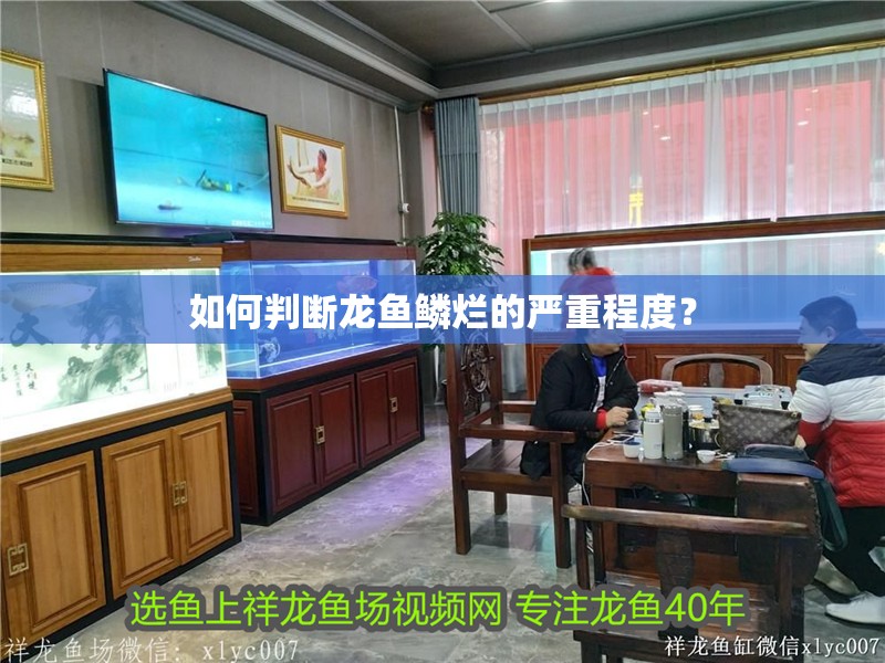 如何判斷龍魚鱗爛的嚴(yán)重程度？