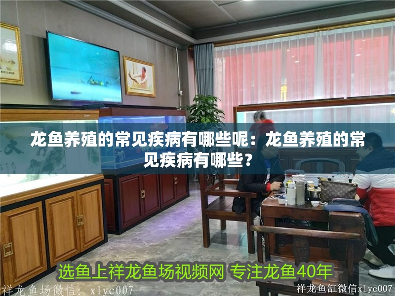 龍魚養殖的常見疾病有哪些呢：龍魚養殖的常見疾病有哪些？