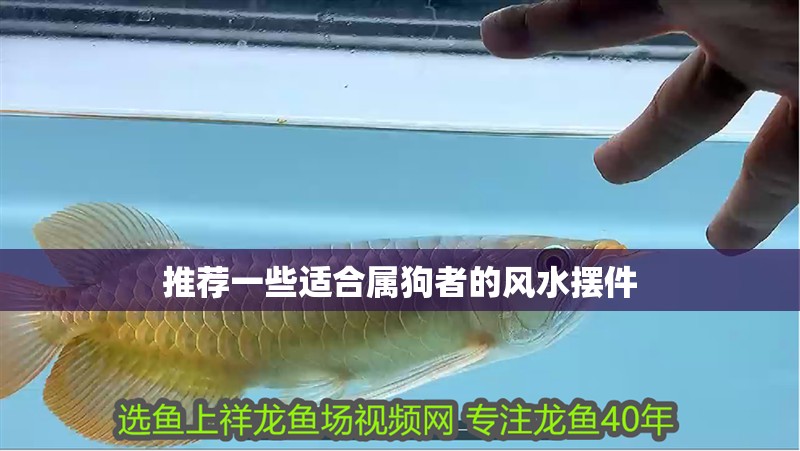 推薦一些適合屬狗者的風水擺件