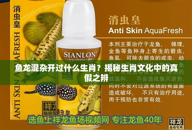 魚龍混雜開過什么生肖？揭秘生肖文化中的真假之辨