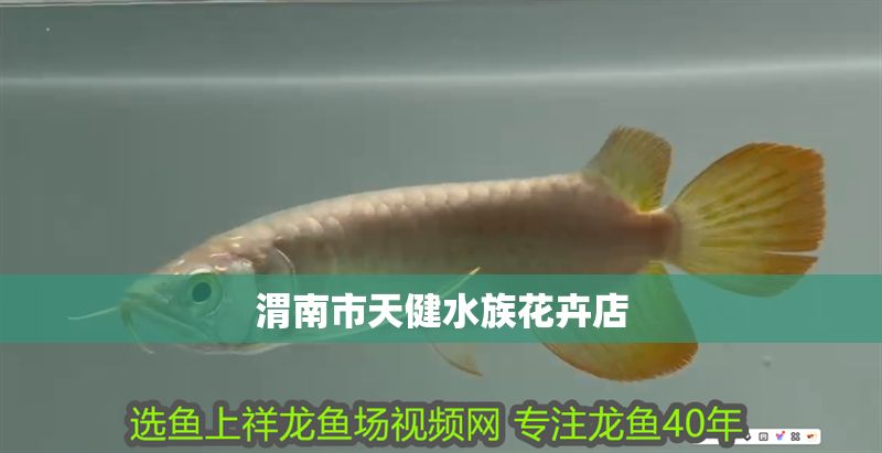 渭南市天健水族花卉店