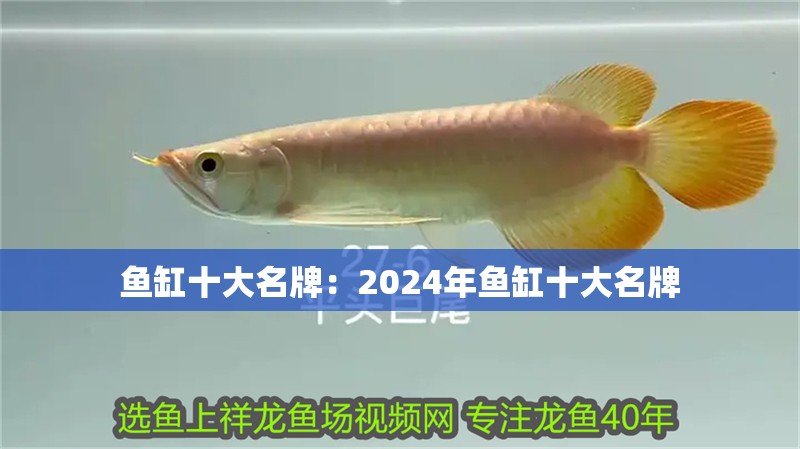魚缸十大名牌：2024年魚缸十大名牌