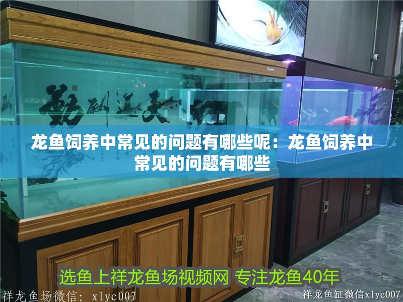 龍魚飼養中常見的問題有哪些呢：龍魚飼養中常見的問題有哪些