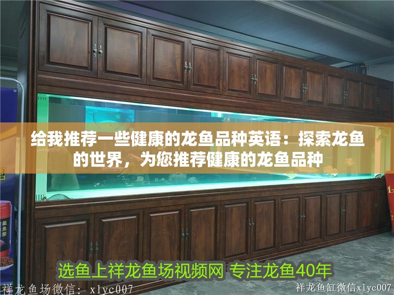 給我推薦一些健康的龍魚品種英語：探索龍魚的世界，為您推薦健康的龍魚品種