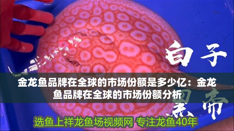 金龍魚品牌在全球的市場份額是多少億：金龍魚品牌在全球的市場份額分析