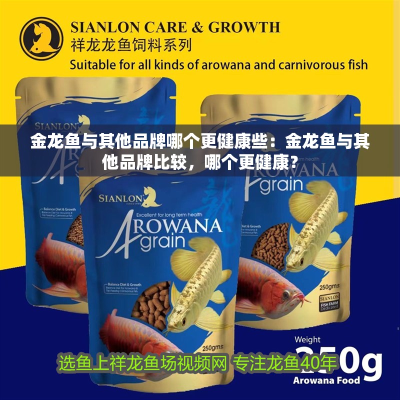 金龍魚與其他品牌哪個更健康些：金龍魚與其他品牌比較，哪個更健康？