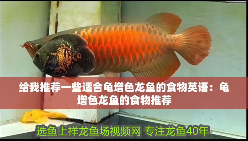 給我推薦一些適合龜增色龍魚的食物英語：龜增色龍魚的食物推薦