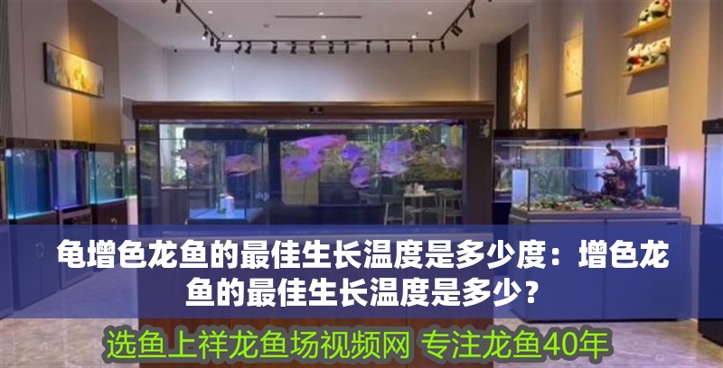 龜增色龍魚的最佳生長溫度是多少度：增色龍魚的最佳生長溫度是多少？
