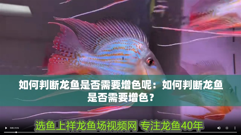 如何判斷龍魚是否需要增色呢：如何判斷龍魚是否需要增色？