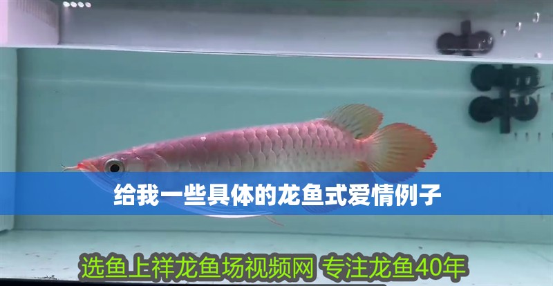 給我一些具體的龍魚式愛情例子