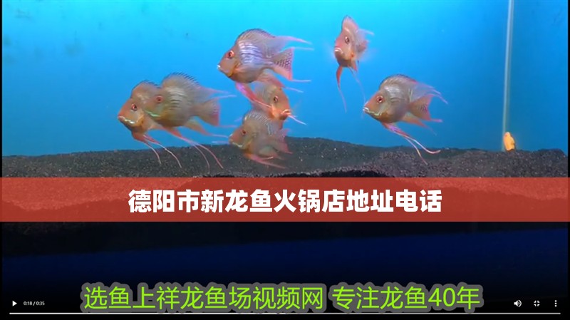 德陽市新龍魚火鍋店地址電話