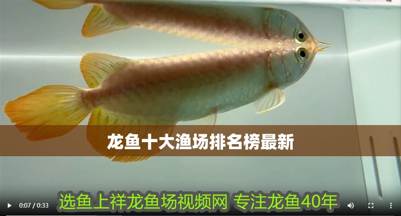 龍魚十大漁場排名榜最新