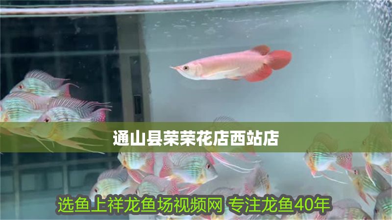 通山縣榮榮花店西站店
