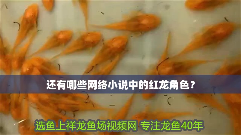 還有哪些網絡小說中的紅龍角色？