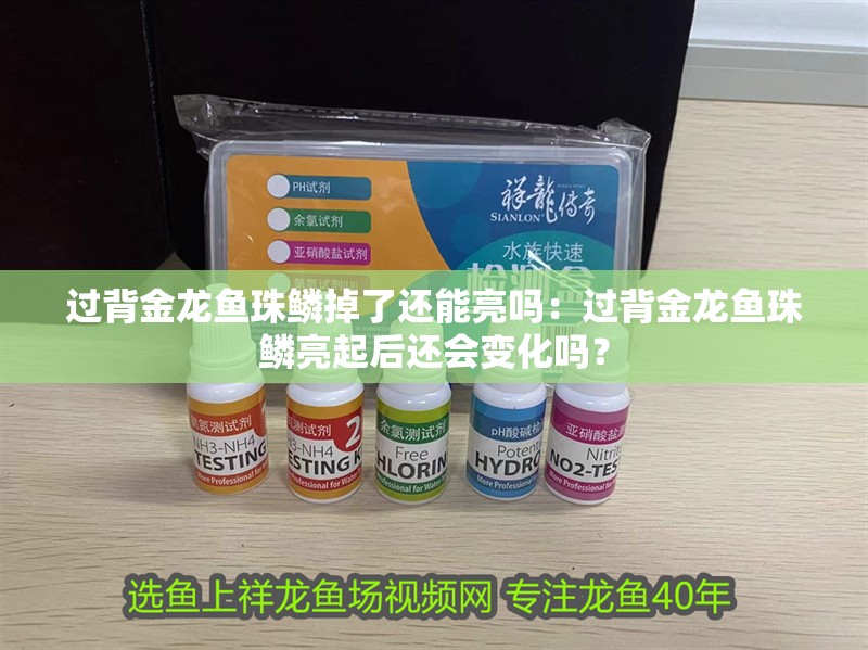 過背金龍魚珠鱗掉了還能亮嗎：過背金龍魚珠鱗亮起后還會變化嗎？