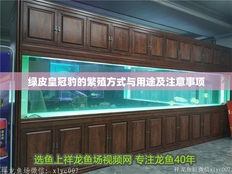 綠皮皇冠豹的繁殖方式與用途及注意事項