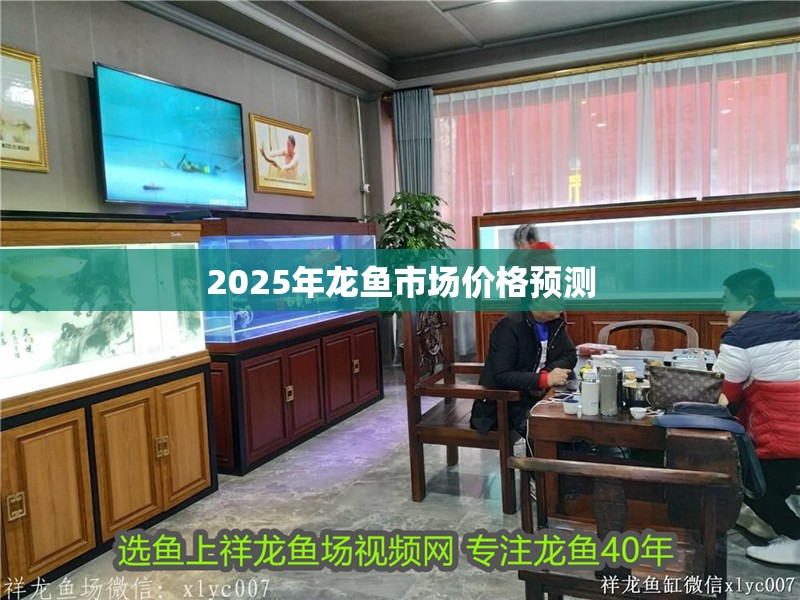 2025年龍魚(yú)市場(chǎng)價(jià)格預(yù)測(cè)