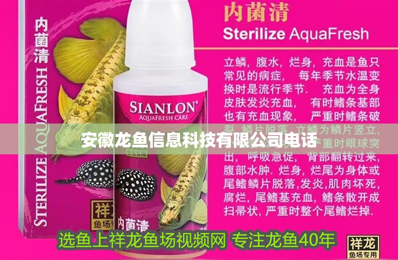 <strong><mark>安徽</mark></strong>龍魚信息科技有限公司電話