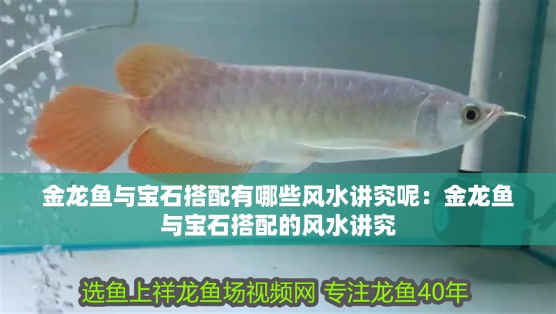 金龍魚與寶石搭配有哪些風水講究呢：金龍魚與寶石搭配的風水講究