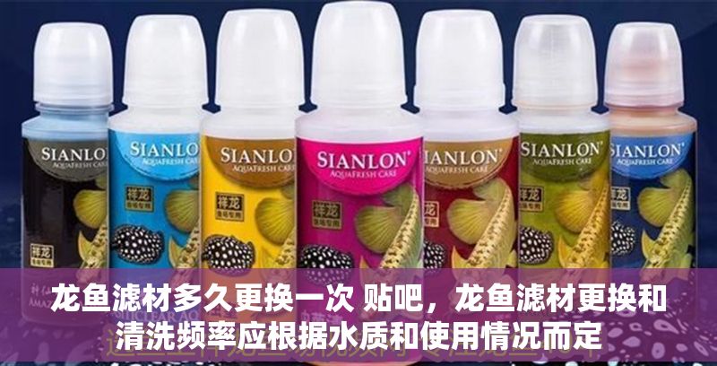 龍魚濾材多久更換一次 貼吧，龍魚濾材更換和清洗頻率應根據水質和使用情況而定
