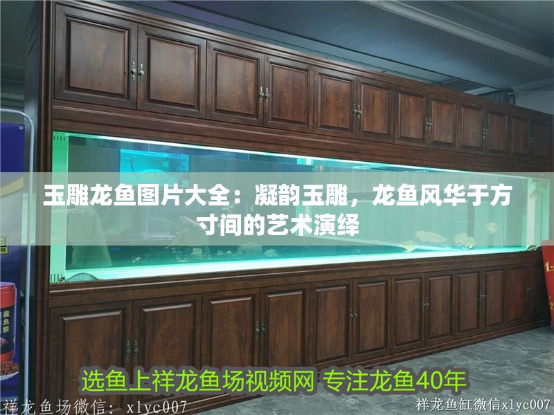 玉雕龍魚圖片大全：凝韻玉雕，龍魚風(fēng)華于方寸間的藝術(shù)演繹