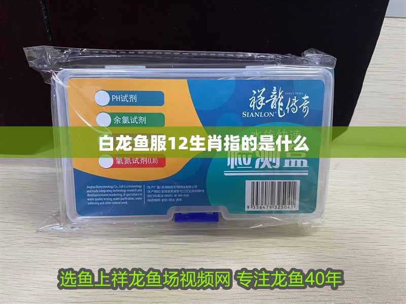 白龍魚服12生肖指的是什么