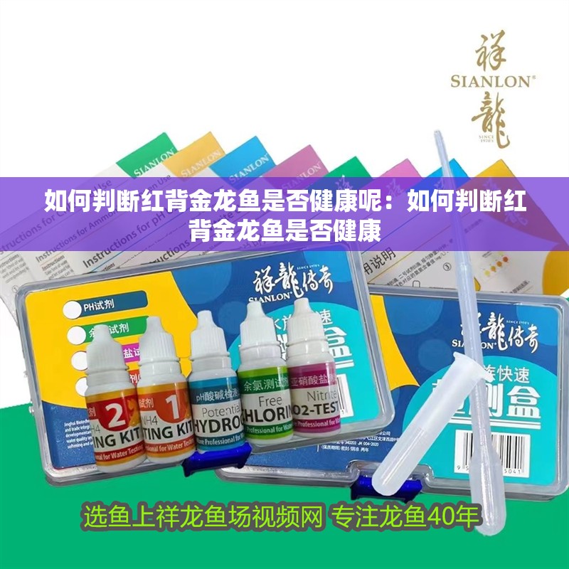 如何判斷紅背金龍魚是否健康呢：如何判斷紅背金龍魚是否健康