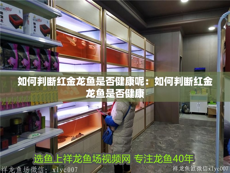如何判斷紅金龍魚是否健康呢：如何判斷紅金龍魚是否健康