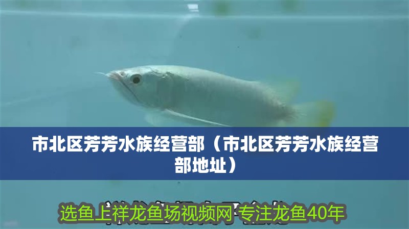 市北區(qū)芳芳水族經(jīng)營部（市北區(qū)芳芳水族經(jīng)營部地址） 市北區(qū)芳芳水族經(jīng)營部（市北區(qū)芳芳水族經(jīng)營部地址） 全國水族館企業(yè)名錄