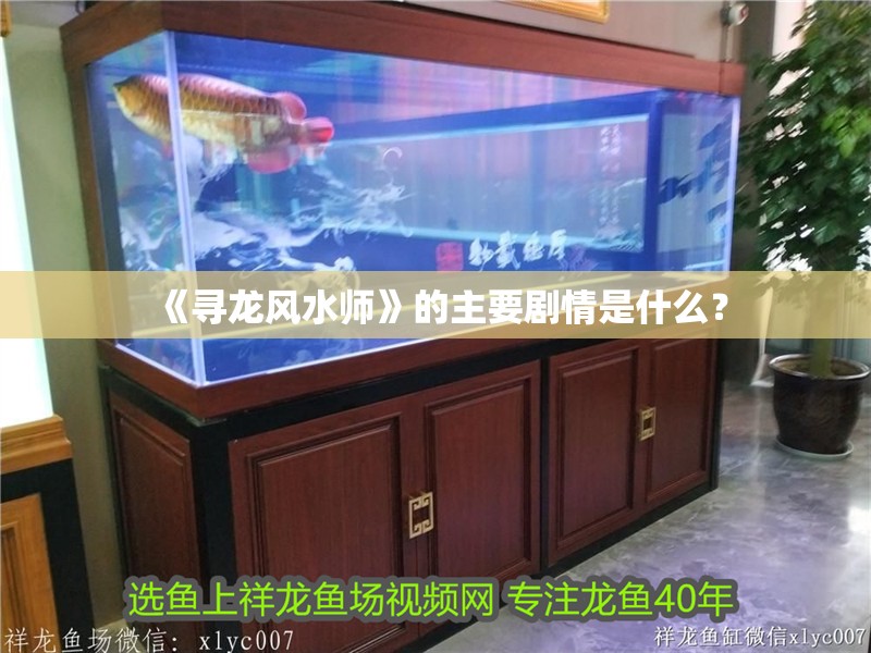 《尋龍風水師》的主要劇情是什么？