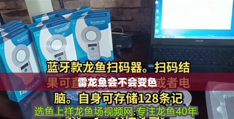 雷龍魚會不會變色