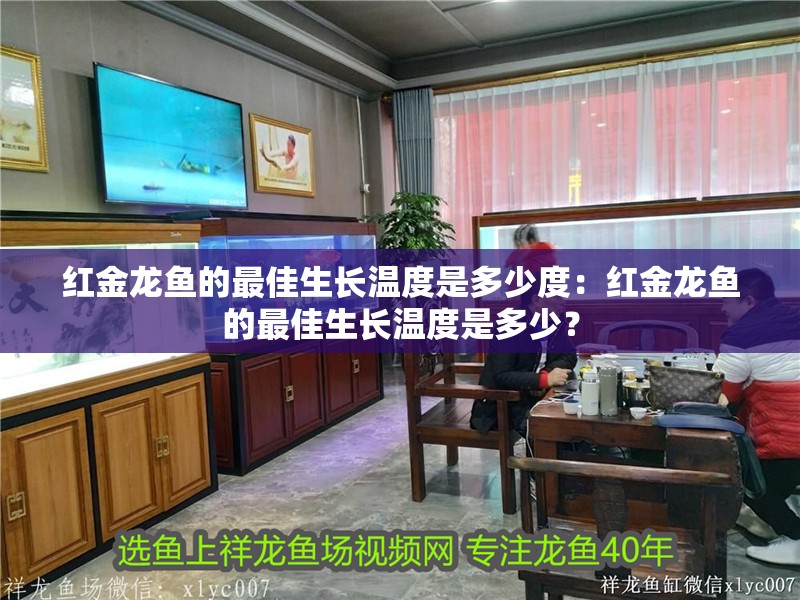 紅金龍魚的最佳生長溫度是多少度：紅金龍魚的最佳生長溫度是多少？