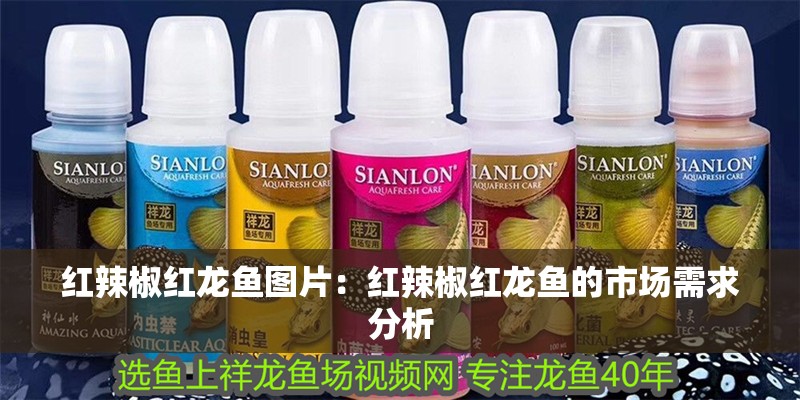 紅辣椒紅龍魚(yú)圖片：紅辣椒紅龍魚(yú)的市場(chǎng)需求分析