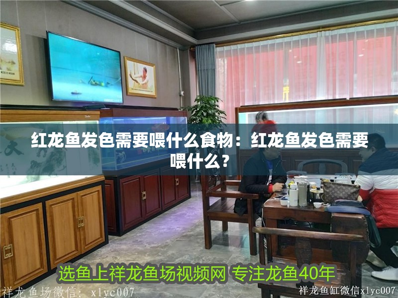 紅龍魚發色需要喂什么食物：紅龍魚發色需要喂什么？