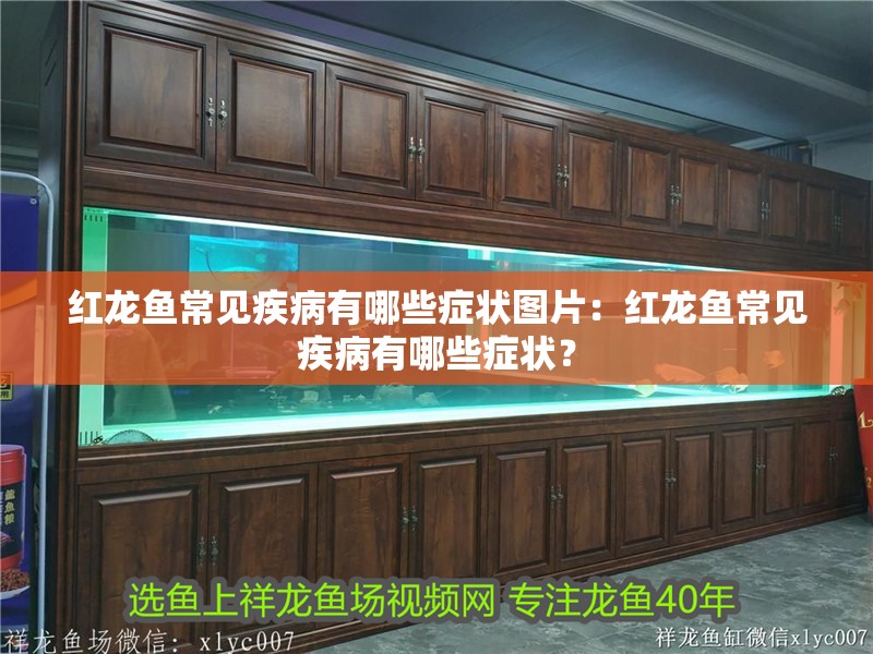紅龍魚常見疾病有哪些癥狀圖片：紅龍魚常見疾病有哪些癥狀？