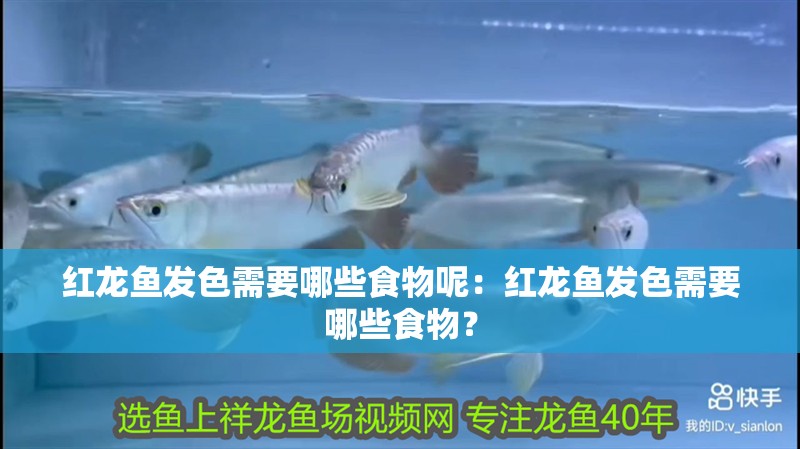 紅龍魚發色需要哪些食物呢：紅龍魚發色需要哪些食物？