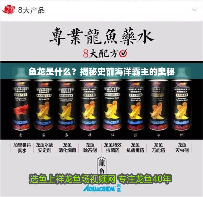 魚龍是什么？揭秘史前海洋霸主的奧秘 魚龍是什么？揭秘史前海洋霸主的奧秘 龍魚百科 第1張