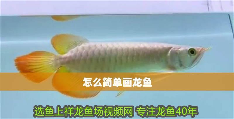 怎么簡單畫龍魚